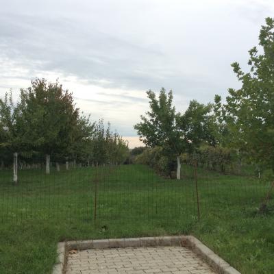 N 20 20151020 1607648319